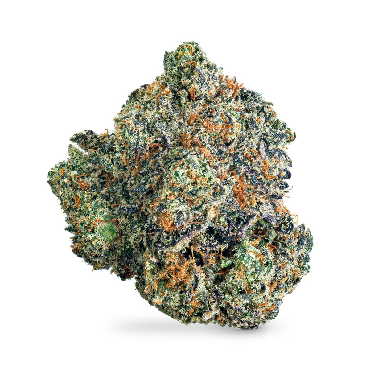 Photo of Rainbow Sherbet #11