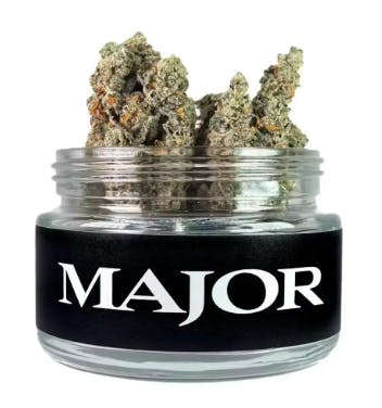 Product Purgatorio Major