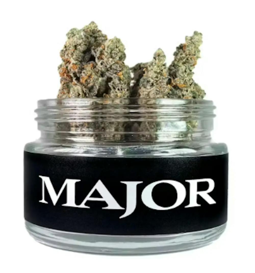 Product Purgatorio Major