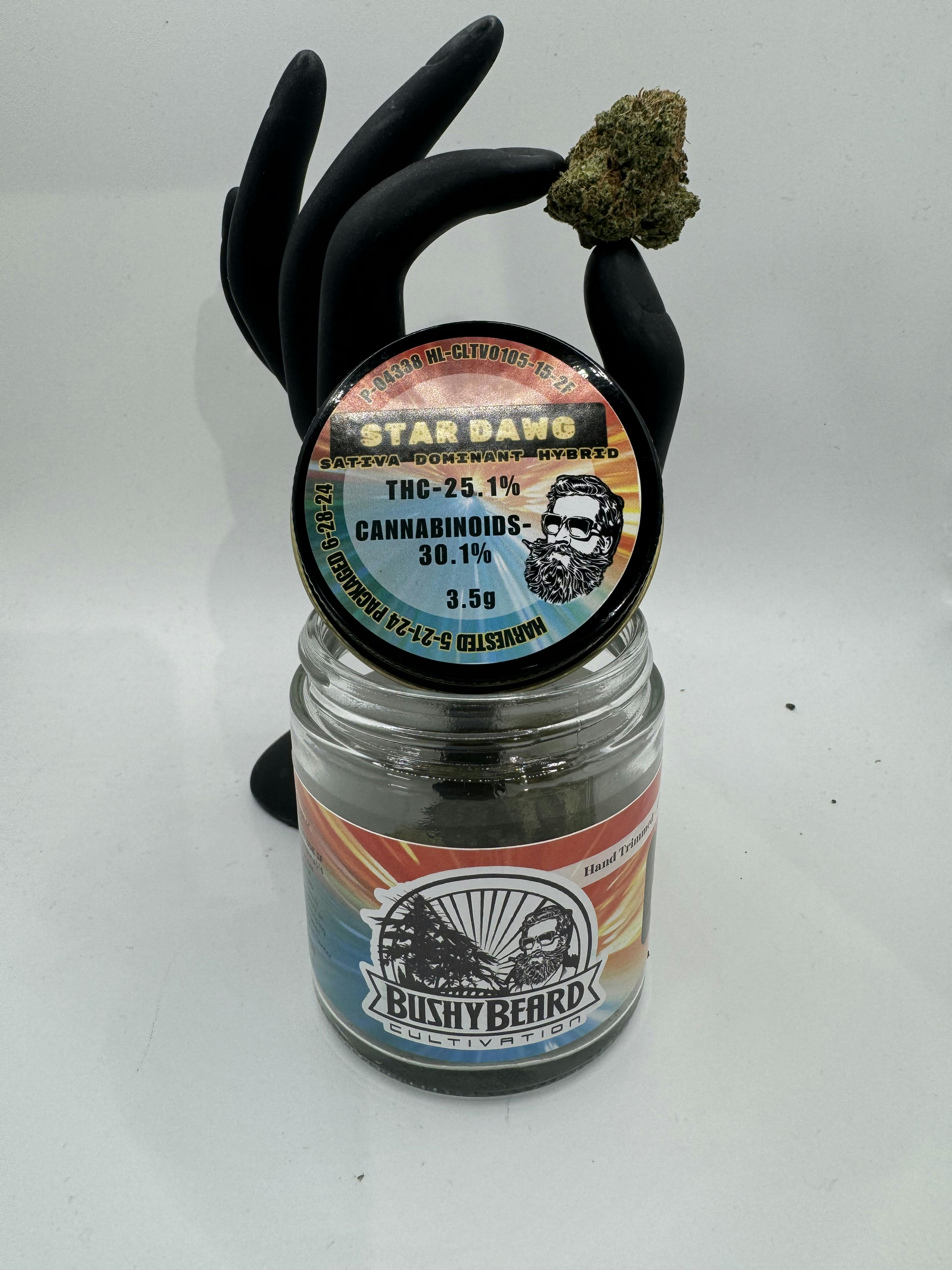 Photo of STAR DAWG