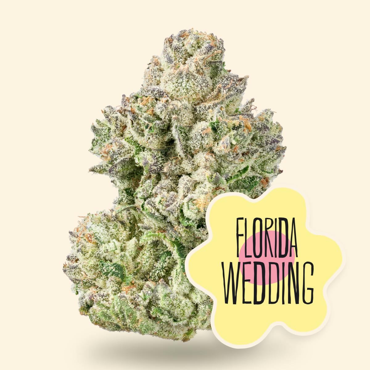Florida Wedding UNTRIMMED SMALLS