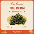 Sun Grown Perm