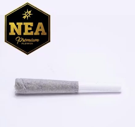 Product NEA Premium | Pool Party | Preroll