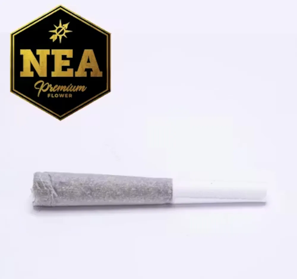 Product NEA Premium | Pool Party | Preroll
