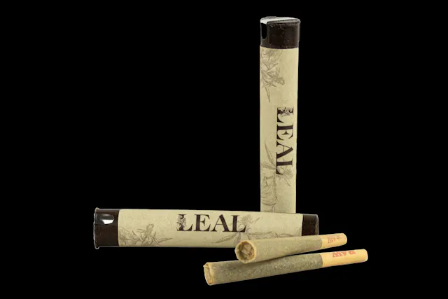 LEAL LEAL | ANIMAL FACE | 1 GRAM PRE-ROLL
