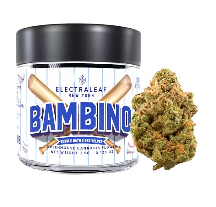 Photo of Bambino 3.5 – Electraleaf