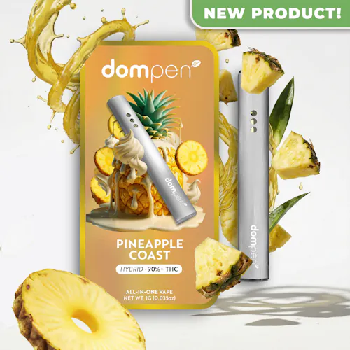 Pineapple Coast All-In-One (1g)-active