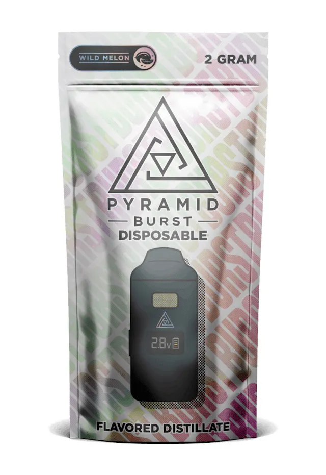 Pyramid Burst Disposable Wild Melon 2g (hybrid, disposables)