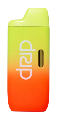 Strawberry Watermelon | Disposable Pen | 2g-2