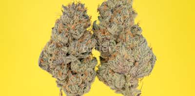 Product: butter | Grease Mintz 233 | 3.5g