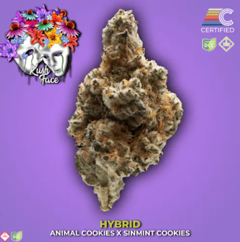 Kush Face 1 | 2.83g-1