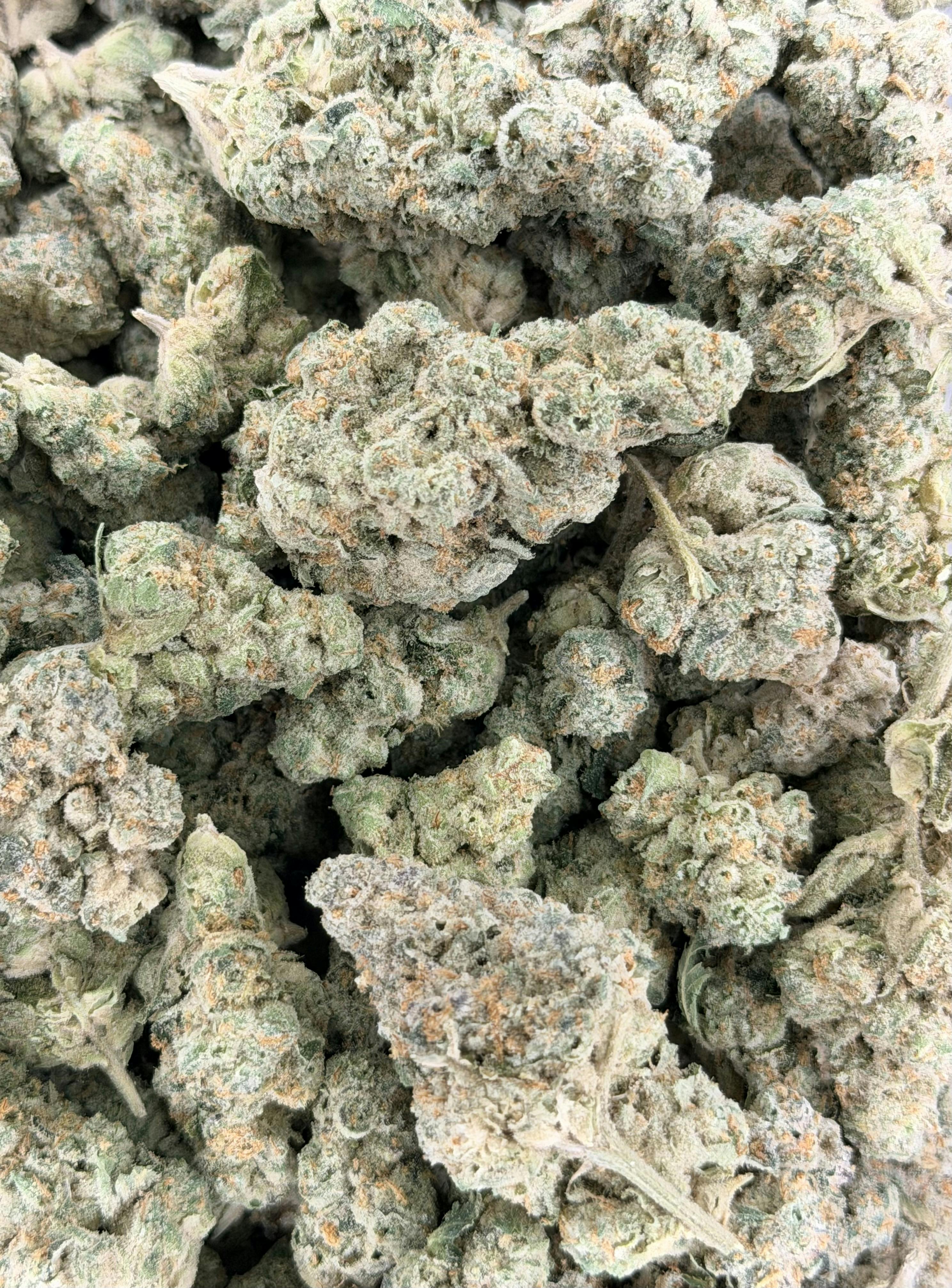 Motorboat | Deli Flower (Silver)