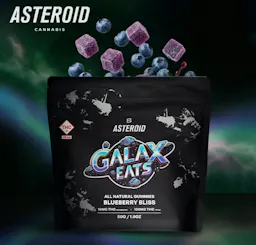GalaxEats Blueberry Bliss