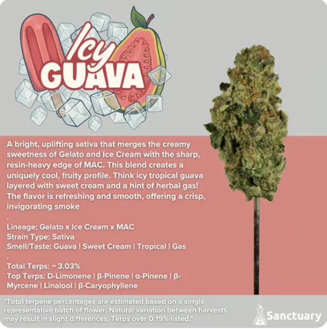 Icy Guava 1oz 25.66% TAC | Mass Alternative Care (Amherst)