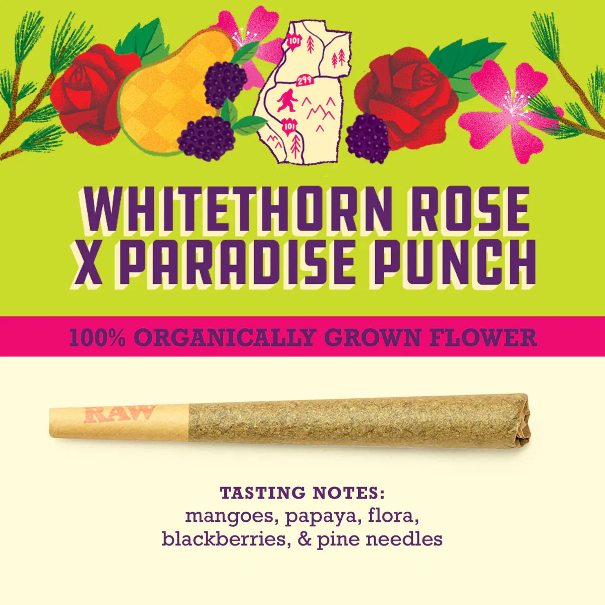 ほぼ新品 Kapital フラワーウエストポーチ WEED 420 Shop Edie Parker Indoor SUGAR BREATH in New York | Gotham NYC