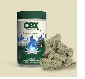 Harborside (San Jose 10th Street)