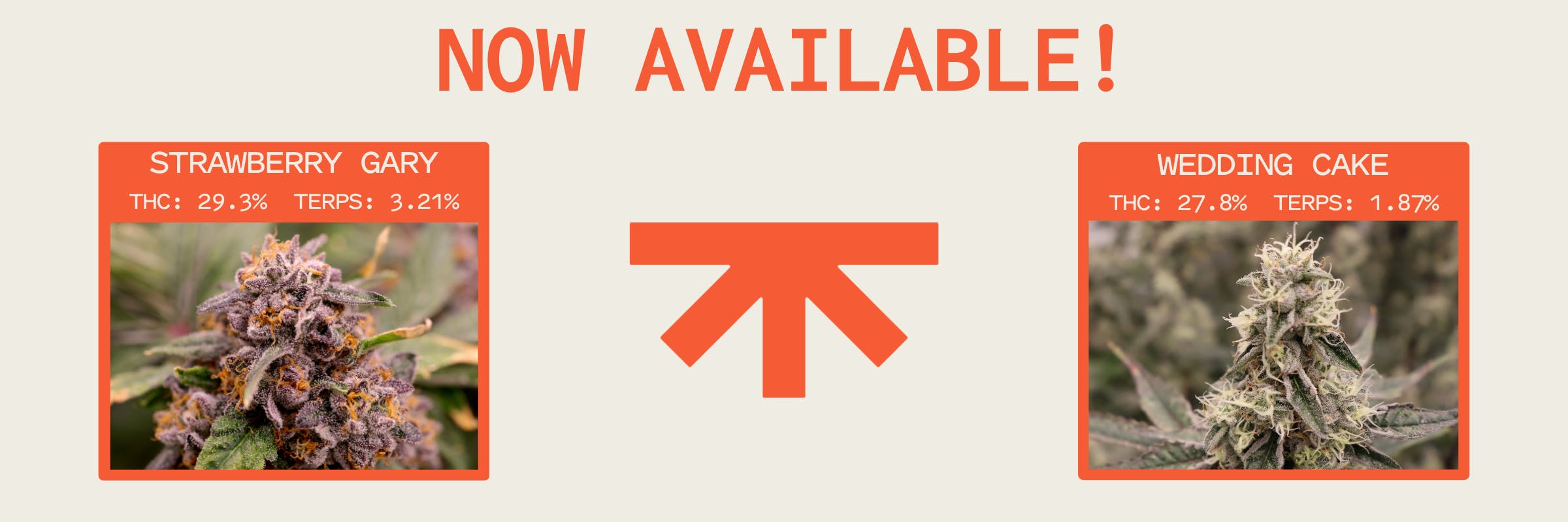 ROOTDOWN, NEW, NEW DROP, WEDDING CAKE, STRAWBERRY GARY, flower, strains, available, all locations, storewide, sale, discount