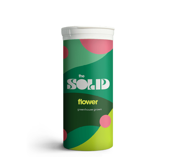 Sunshine Slice Whole Flower