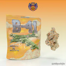 Michigander Fire - 3.5g Prepack - B-41