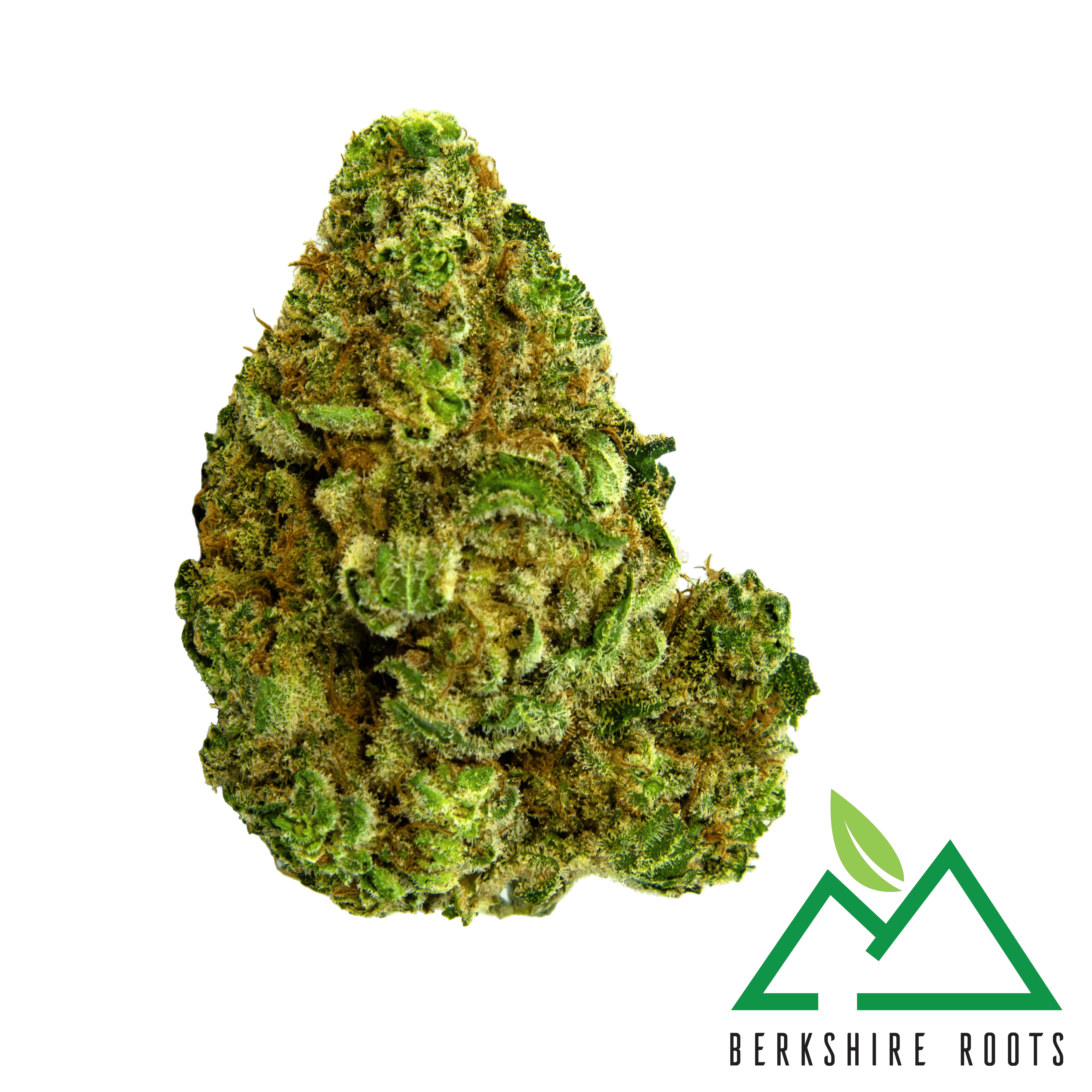 Product Watermelon Z | Flower | 3.5g