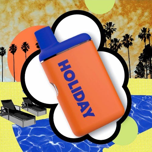Leisure Disposable Vape | 1g - Holiday