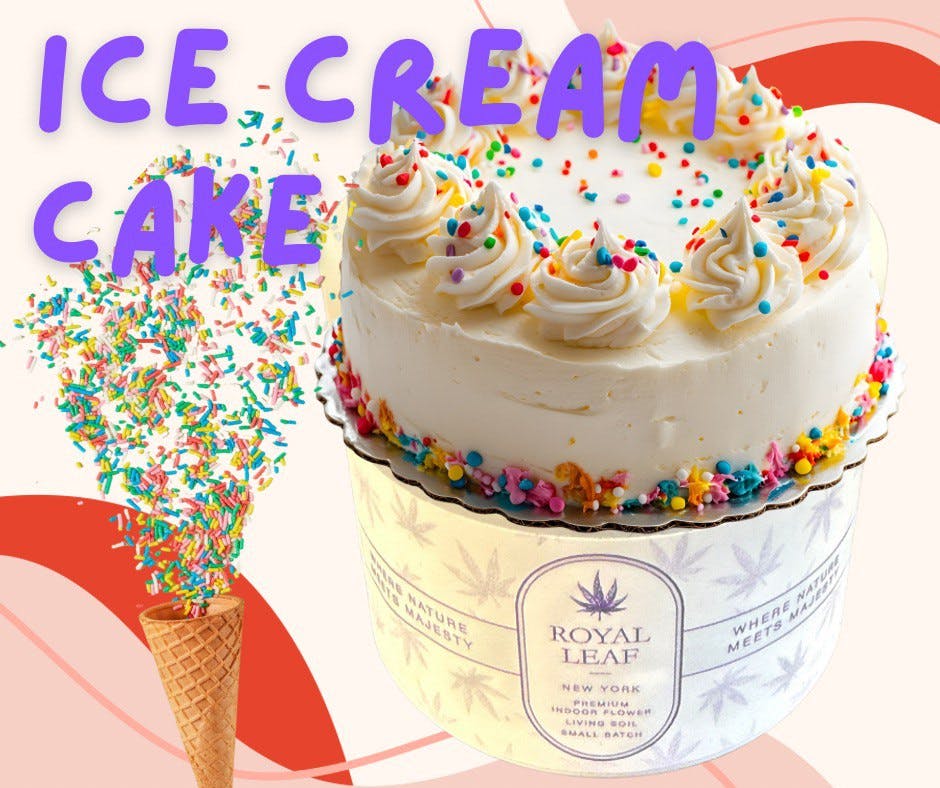 Product Royal Leaf - Ice Cream Cake - 3.5g - Indoor Flower