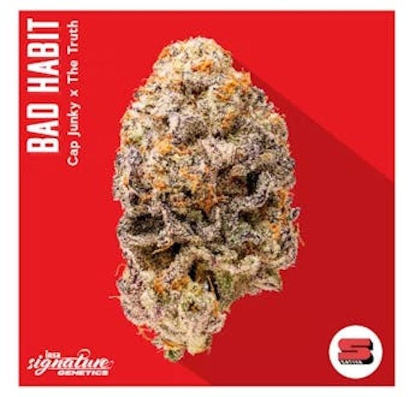 Bad Habit (S) - 28g - INSA