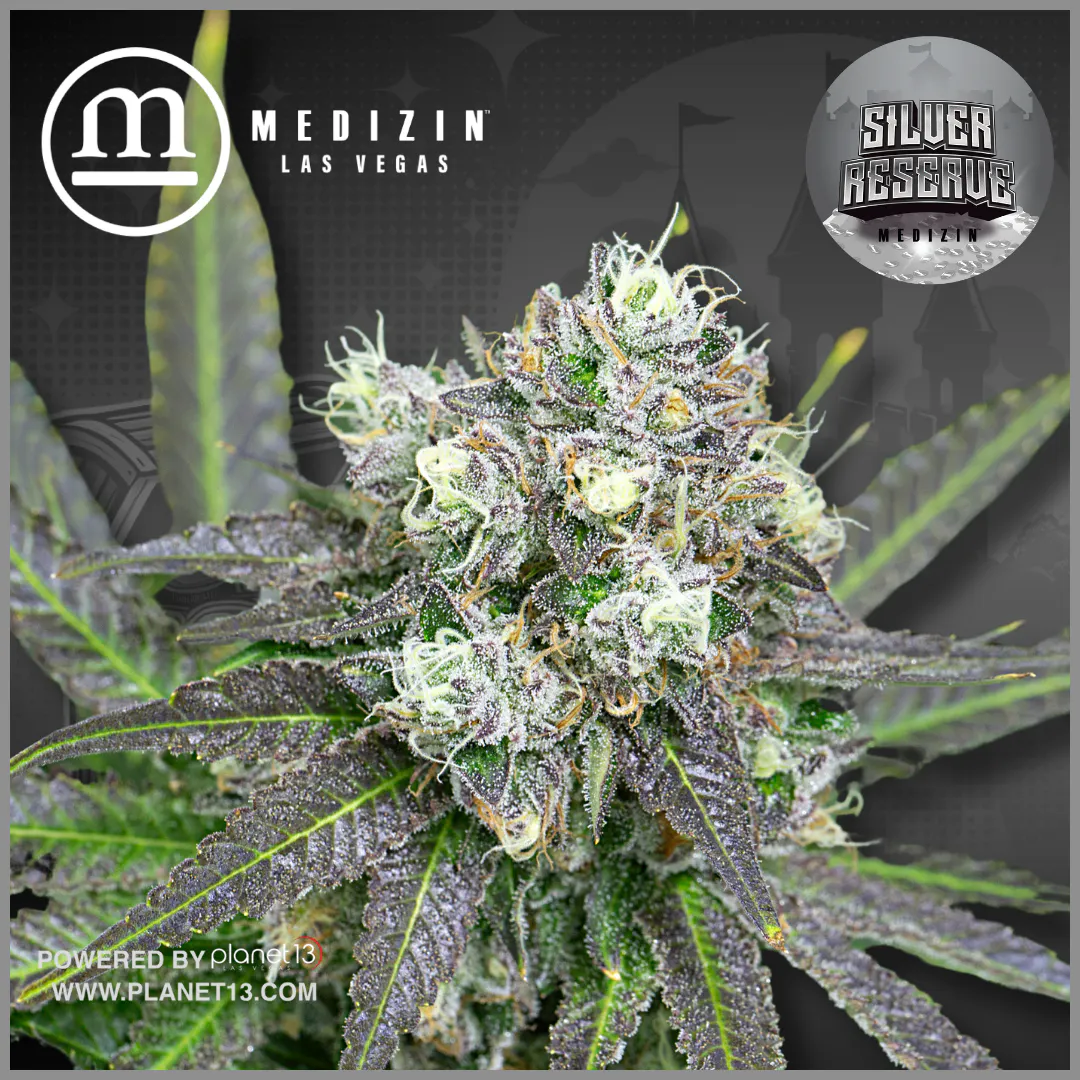 シルバー925 サンダーバード ビーン Medicine Bean Medizin Silver Reserve 3.5g Prepack | Planet 13 Las Vegas