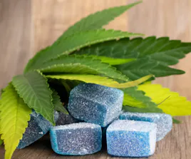 Edibles category image