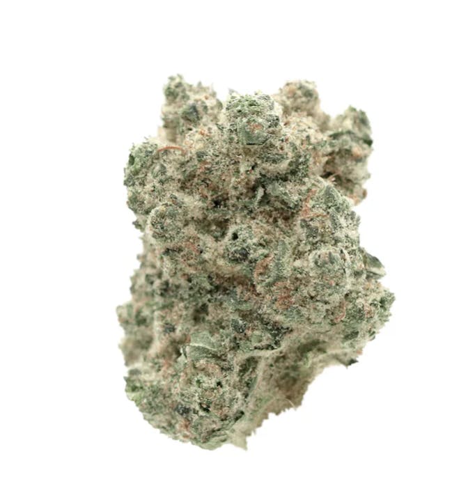 Matter | Larry Burger Flower