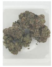 Gummy Gas