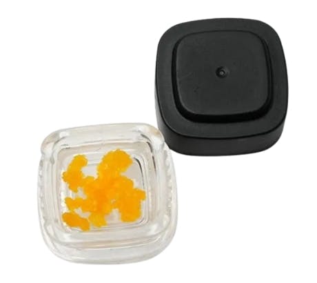 Live Jungle Cake Sugar