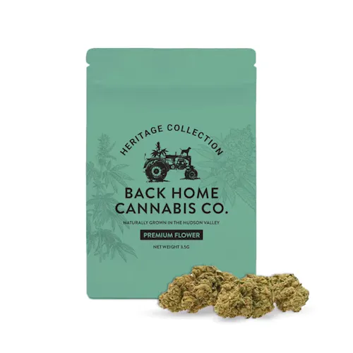 BACK HOME CANNABIS CO. | HERITAGE COLLECTION | JACK HERER | FLOWER | 3.5G-active
