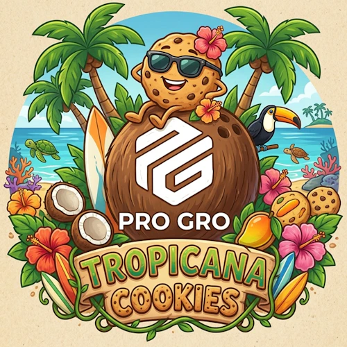 DELI - Tropicana Cookies