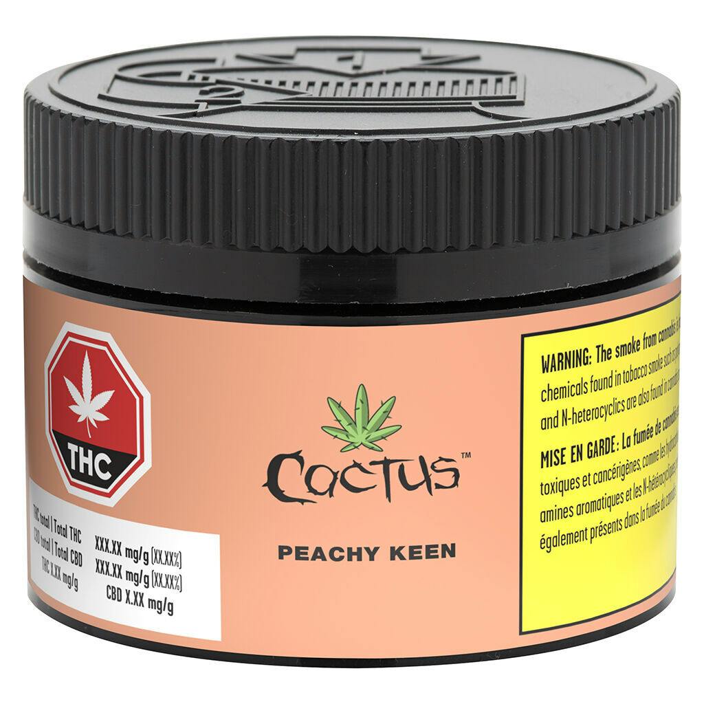 Cactus - Peachy Keen-0