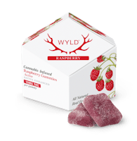 Product 5mg 20:1 Strawberry Hybrid Gummies 20pk (w/ CBD)