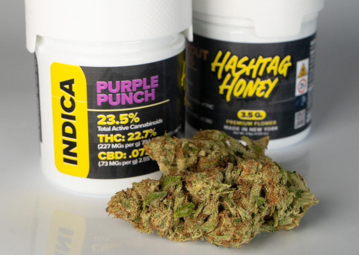 Photo of Hashtag Honey – Purple Punch 3.5g