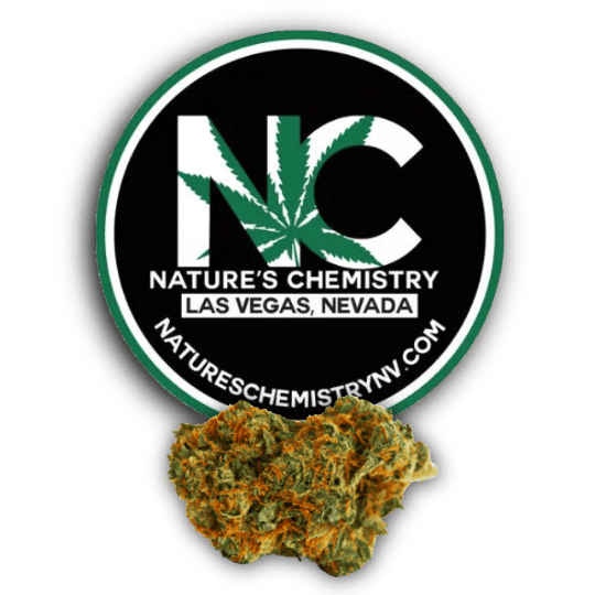 nature's chemistry disposable vape The 8 Best Flum Float Flavors You Must Try In 2024 main image 1