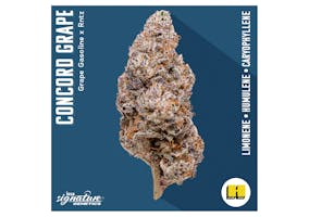 Super Lemon Haze 2 - INSA Florida Dispensary Super Lemon Haze 2 - INSA Florida Dispensary