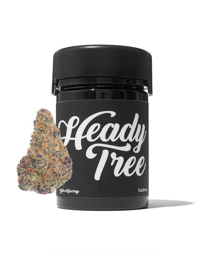 Heady Tree- 14g Flower Jar-Blockberry