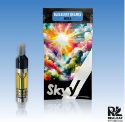 Blueberry Dreams Cartridge 1g-1