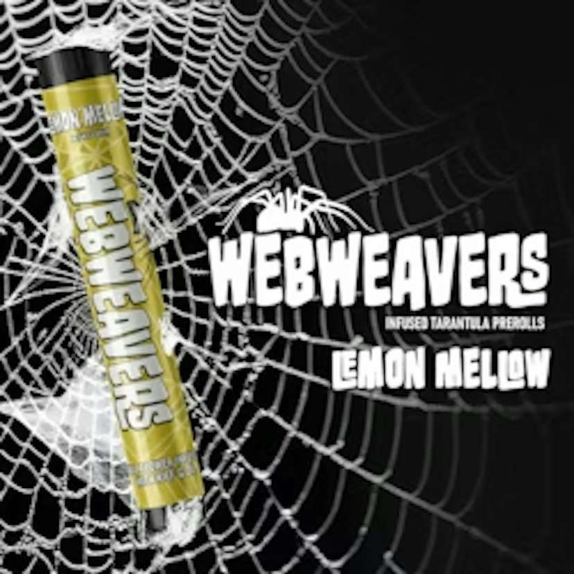 Webweavers - Lemon Mellow Tarantula