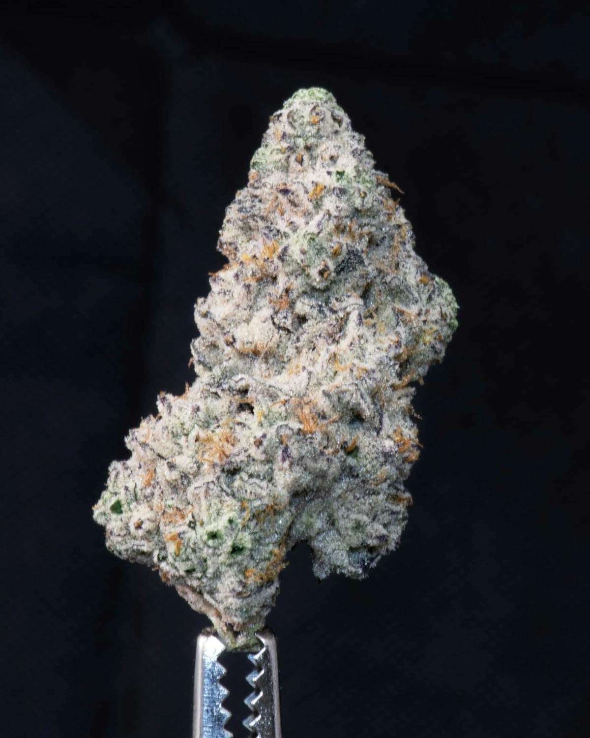 Image of Ramen Shaman | 28g House “Small Bud” Flower