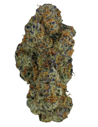 Baby Yoda – 14g-1