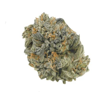 【ディグダ】OGKush 10 SweetSkunk 10 ディグダ】OGKush 10 SweetSkunk 10 O.G. Candy Dawg Kush Auto