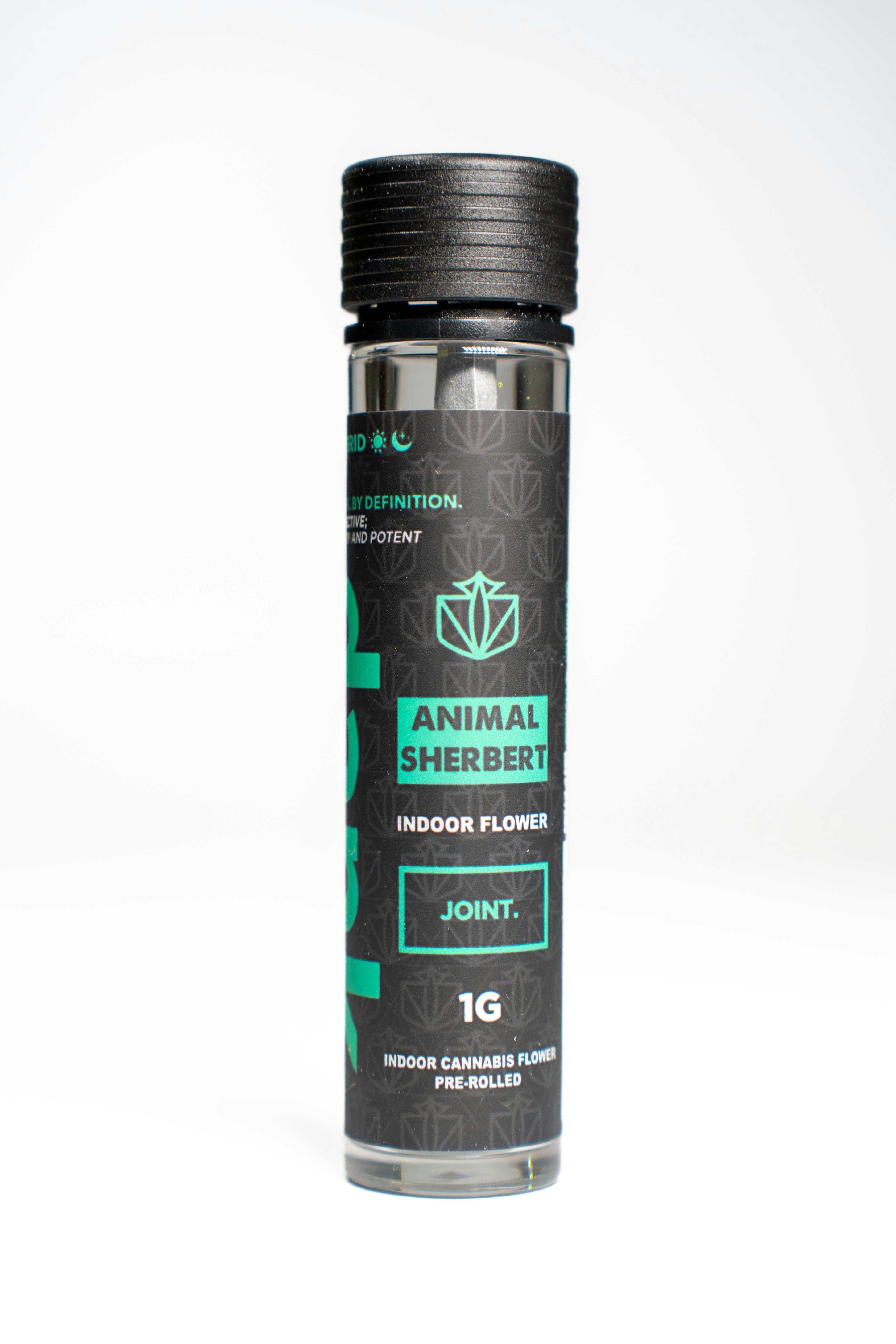 Dank | Animal Sherbert | 1g