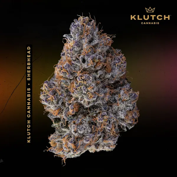 Blue Andeze 2.83g Flower | Pure Ohio Wellness |