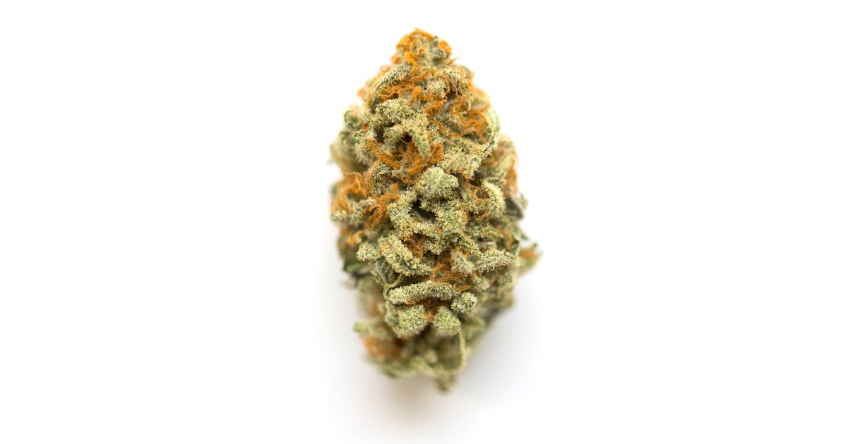 Product: GATSBY CANNABIS CO. | BABY YODA INDICA