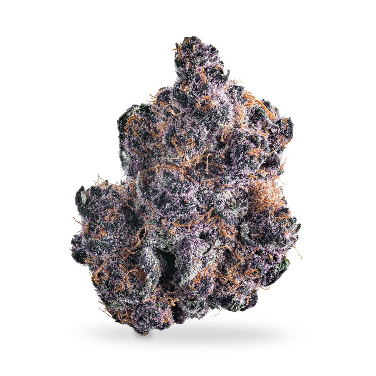 Photo of Tropicana Cherry