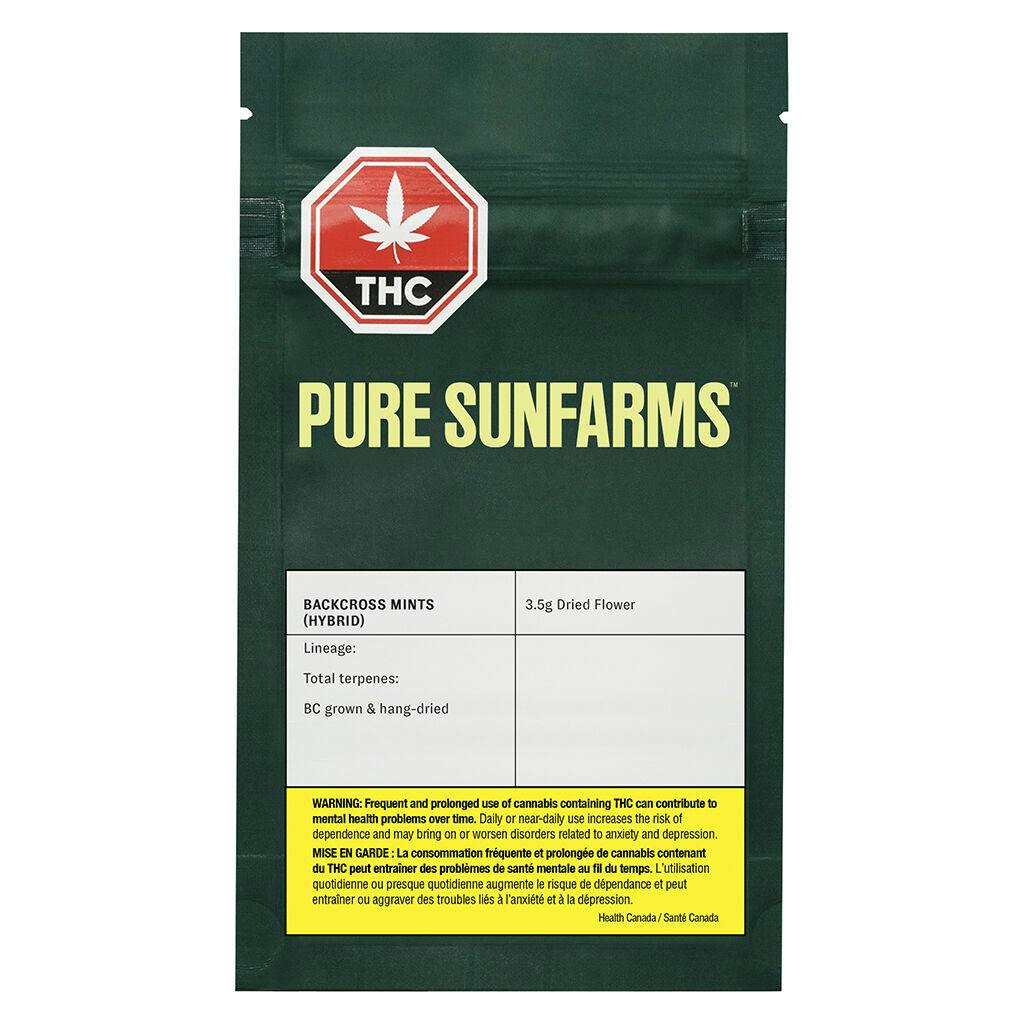 Pure sunfarms - backcross mints
